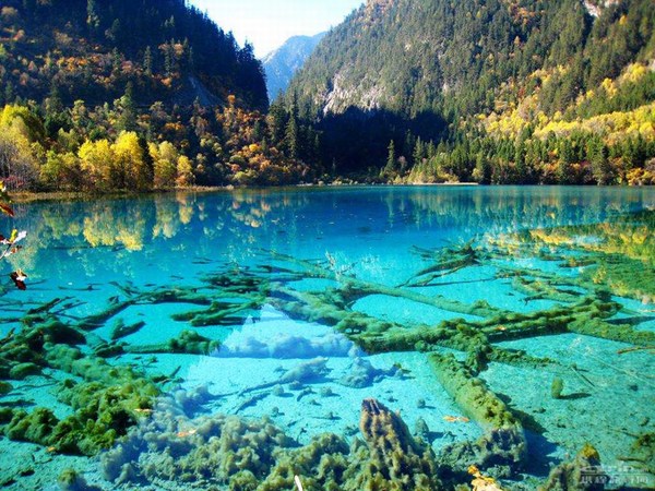 Crystalline-Turquoise-Lake-Jiuzhaigou-National-Park-China